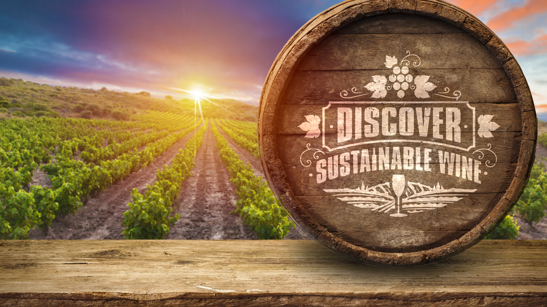 wine tourism sustainability